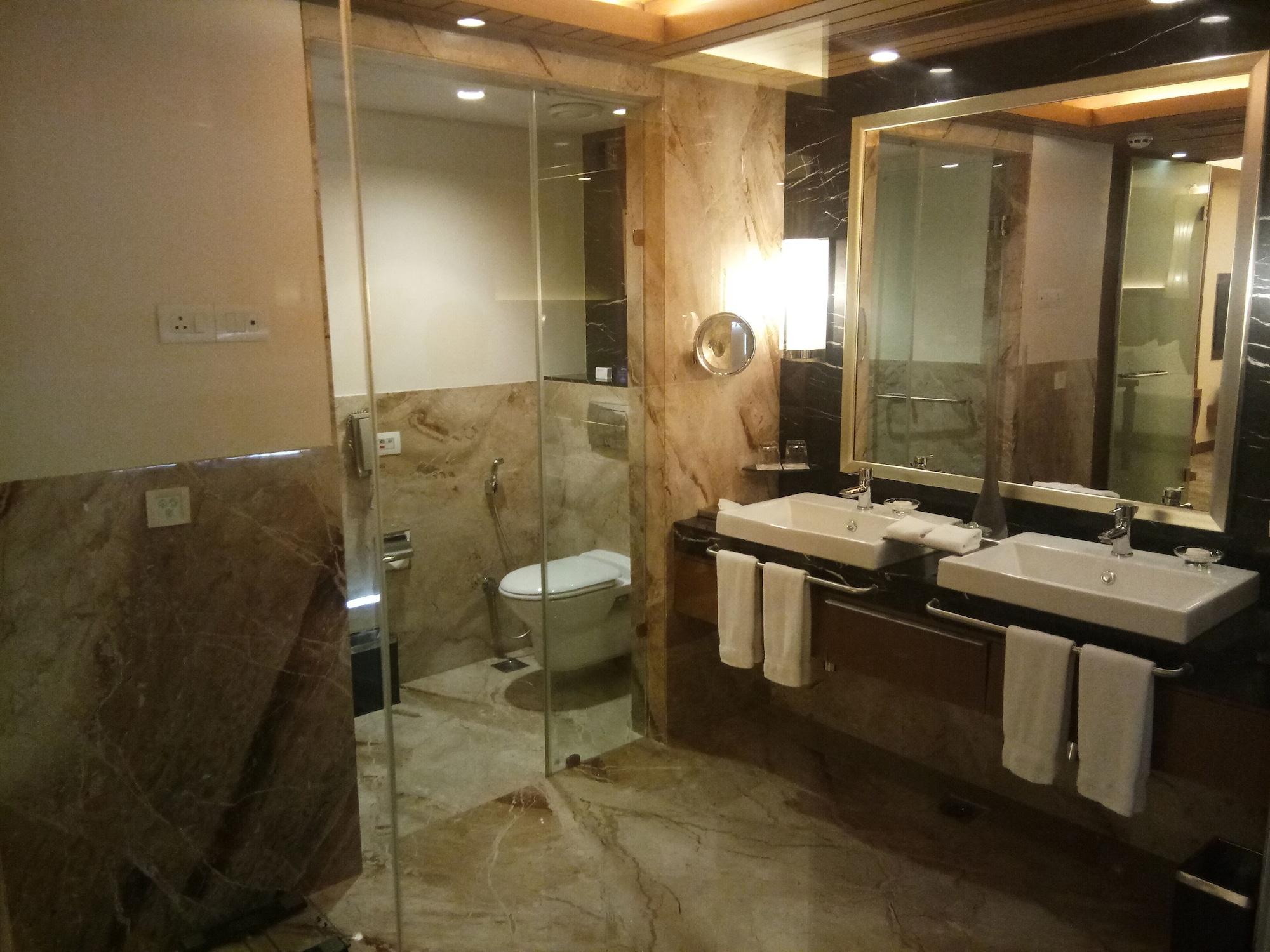 那格浦尔丽笙酒店 外观 照片